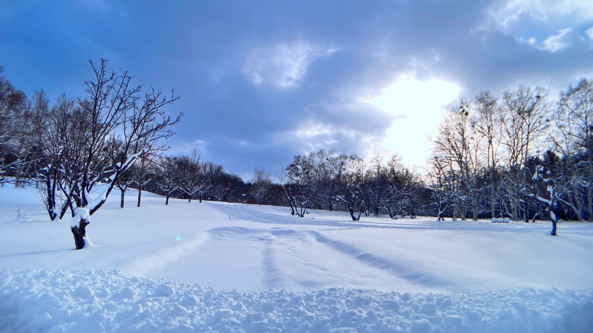 冬の公園