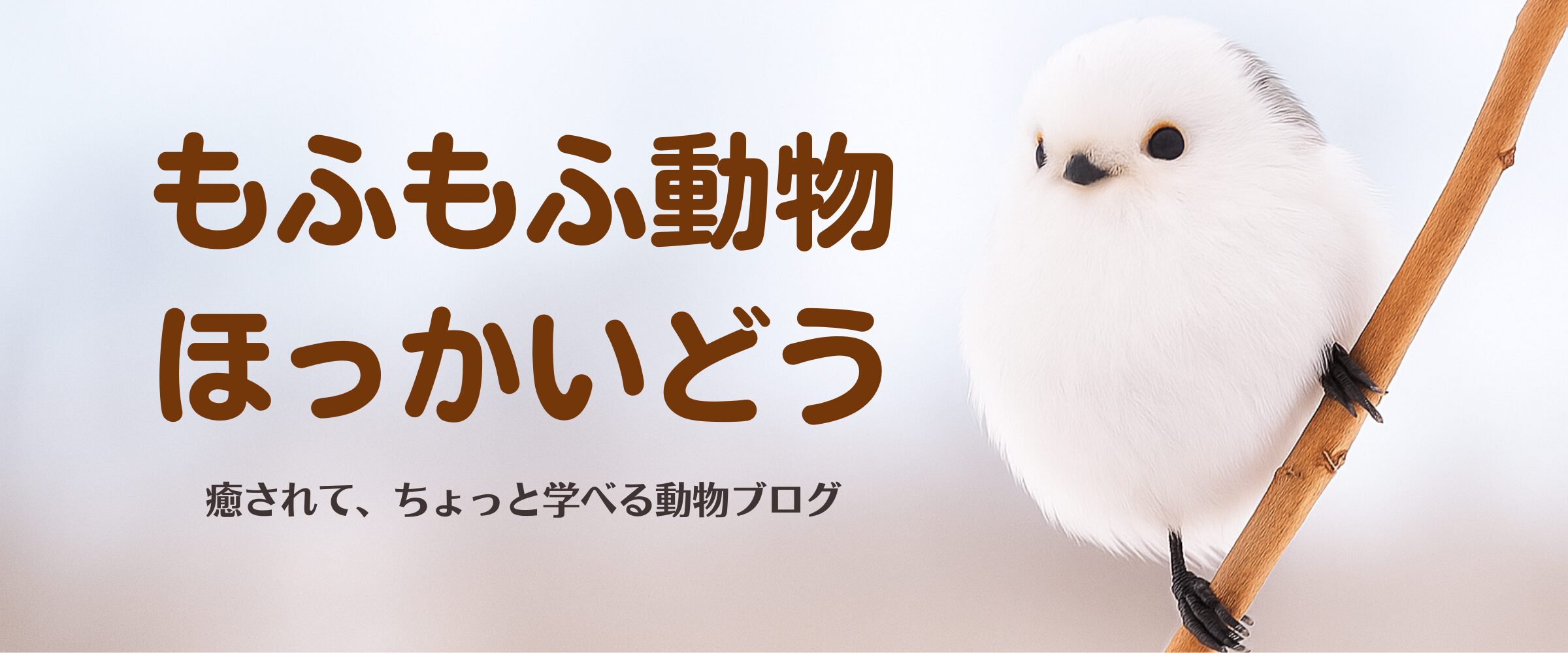 もふもふヘッダー