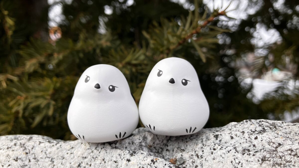 シマエナガおみくじ