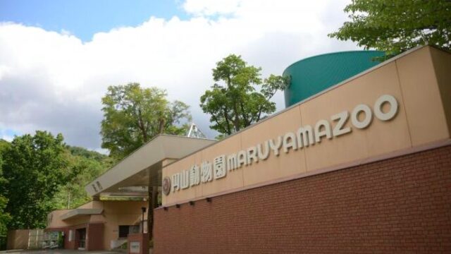 円山動物園