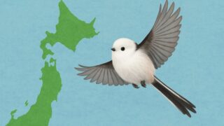 日本地図とシマエナガ