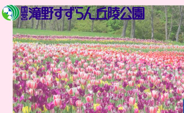 滝野すずらん丘陵公園