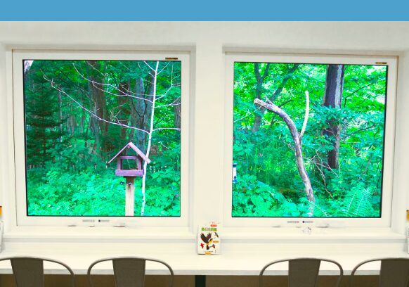 バードウォッチングカフェ