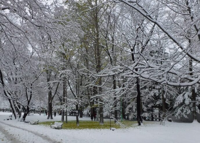 円山公園　雪景色