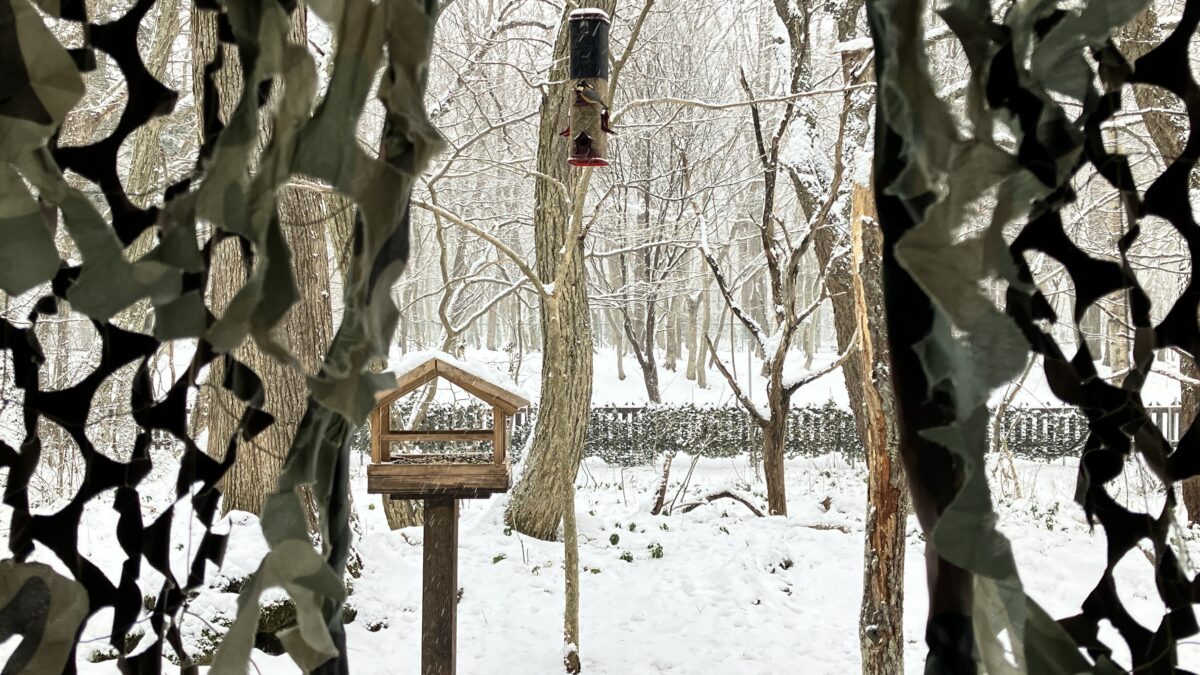 フォトカフェスペース
から覗く