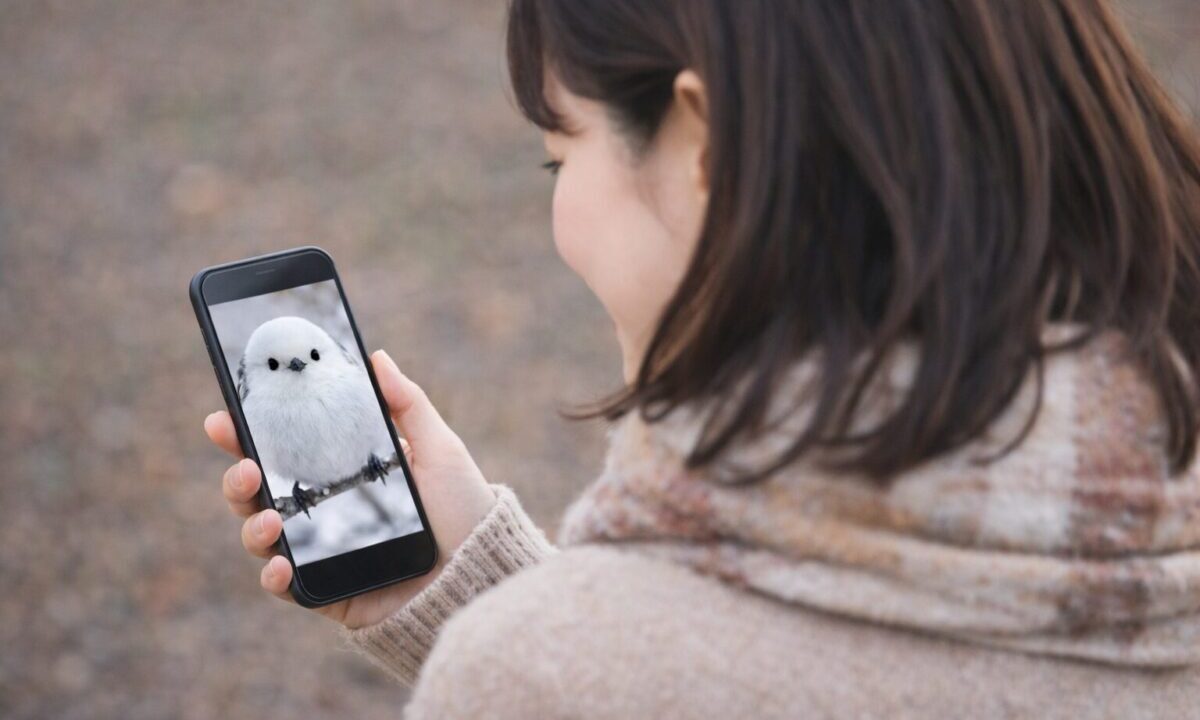 SNSでシマエナガ