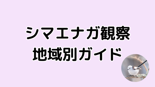 シマエナガ観察地域別ガイド