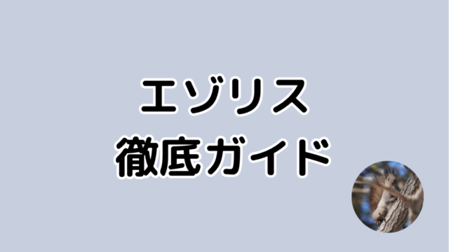 エゾリス徹底ガイド