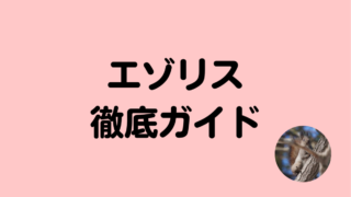 エゾリスガイド