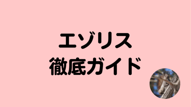 エゾリスガイド