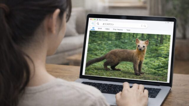 エゾクロテン アーカイブ - もふもふ動物ほっかいどう