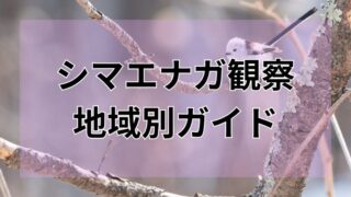 シマエナガ　地域別ガイド