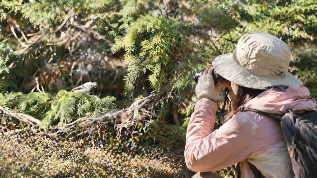 春　バードウォッチング