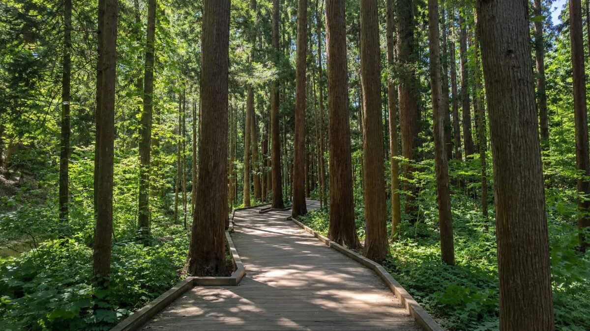 円山公園