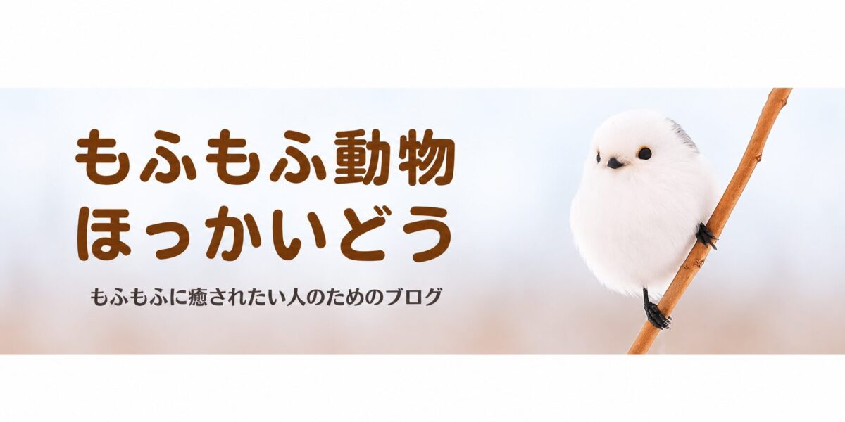 ヘッダー半分