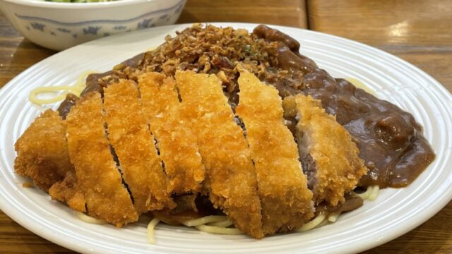 帯広のふじもりで食べたインデアンカレーのスパカツカレー