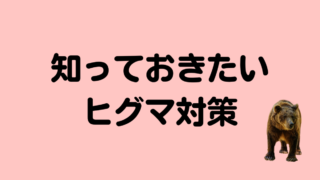 ヒグマ対策