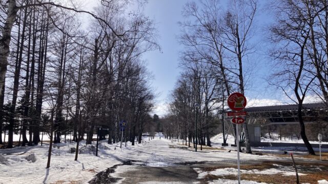 シマエナガを探して散策した2月の帯広緑ヶ丘公園