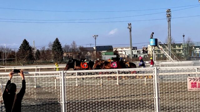 帯広のばんえい競馬で馬が重いそりを引いて走る様子