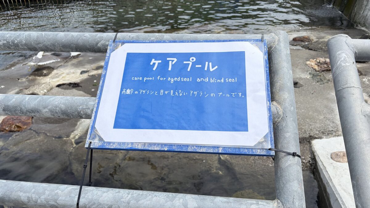 おたる水族館の高齢アザラシと目の見えないアザラシのケアプール案内
