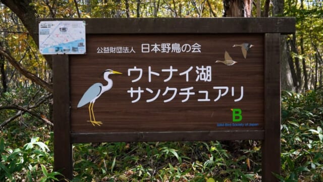 苫小牧ウトナイ湖サンクチュアリの日本野鳥の会の木製看板