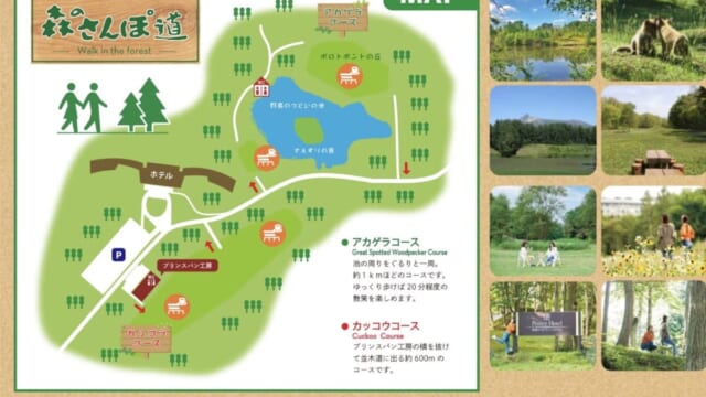 大沼周辺の森を散策できるもりの小径の案内マップ